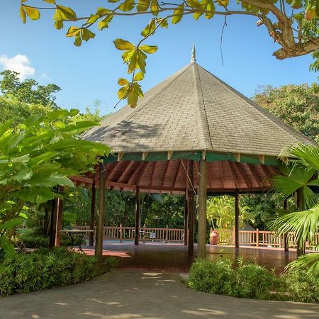 Tropical Escape Villa Ocho Rios Ngoại thất bức ảnh