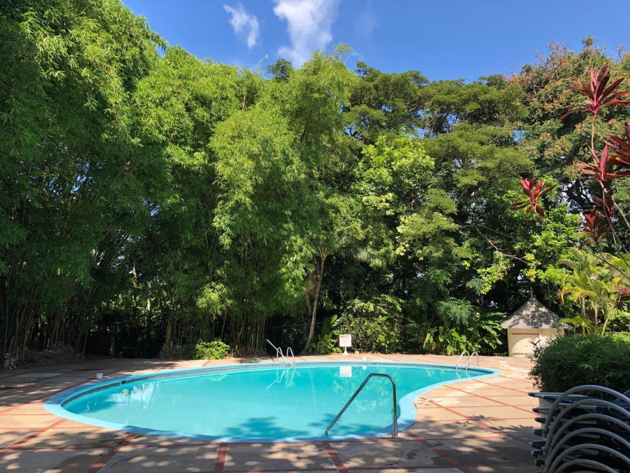 Tropical Escape Villa Ocho Rios Ngoại thất bức ảnh